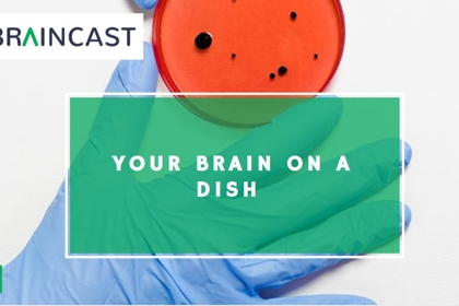 Your Brain On A Dish