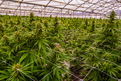 Adobestock 243080695